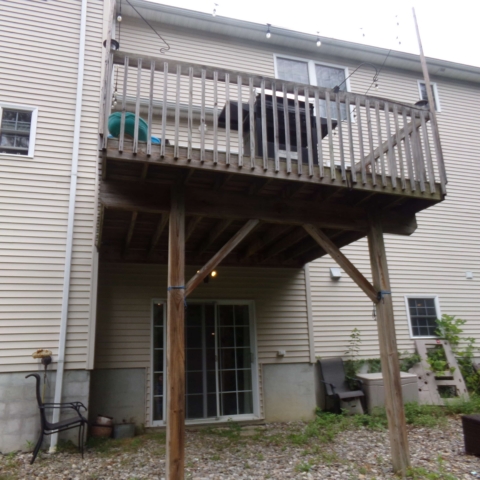 Sparta Deck With Trellis - Before