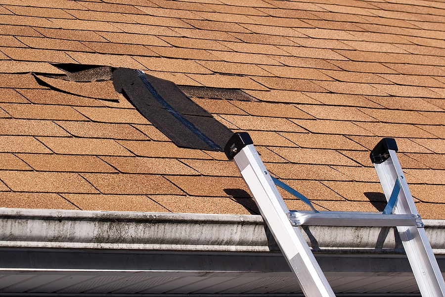 How to Tell if You Need Roof Repair vs. Roof Replacement