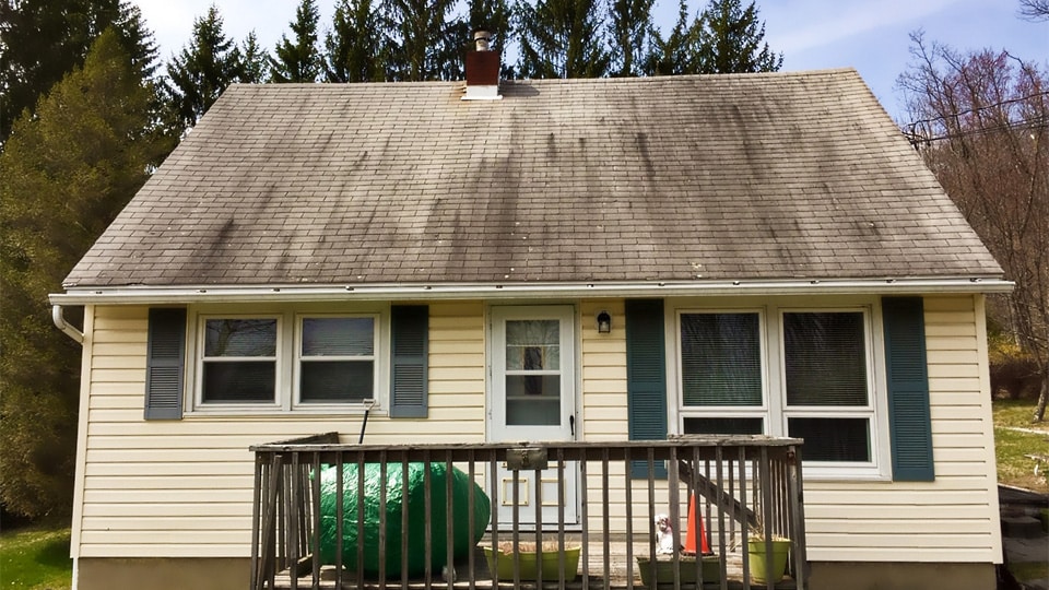 Frankford Roof - Before